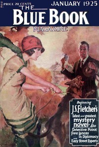 The Missing Will cover