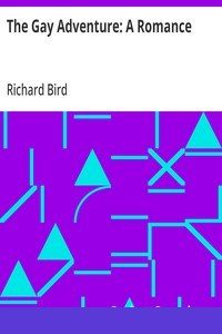 The Gay Adventure cover